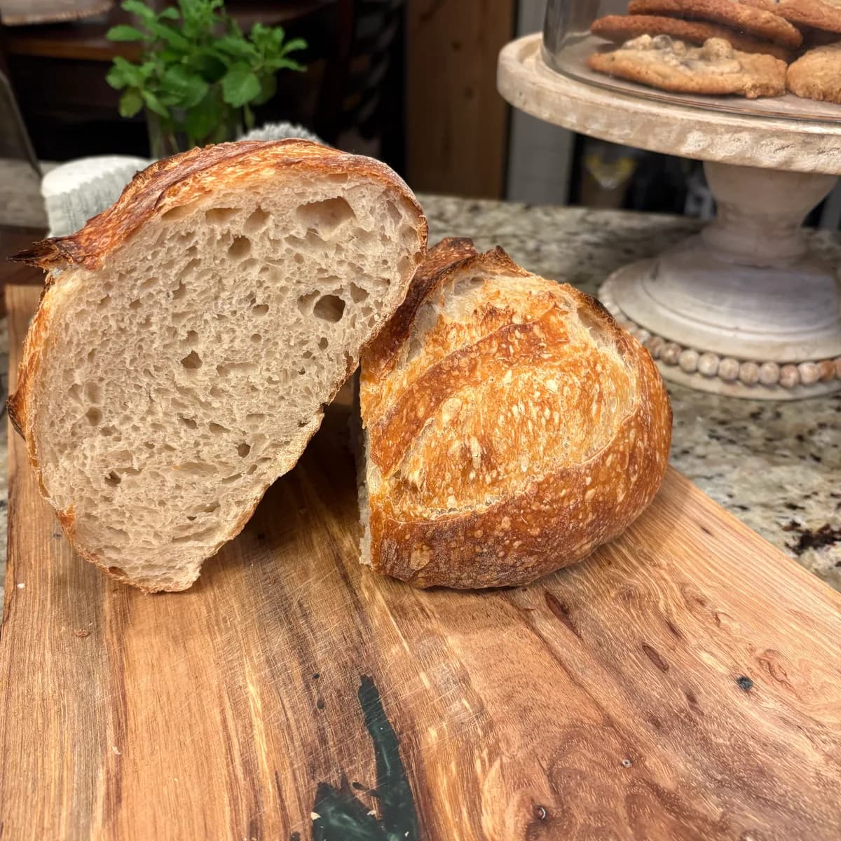Classic Sourdough Batard